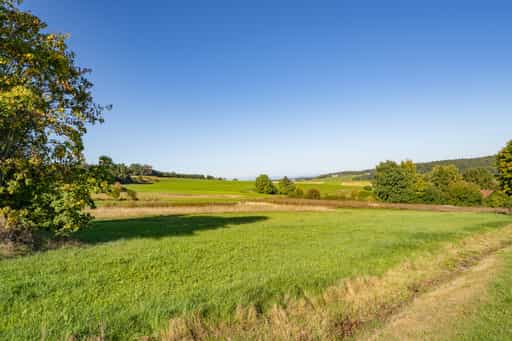 Landschaft, Mais PAN12, Baumgarten, Rottal-Inn, Niederbayern