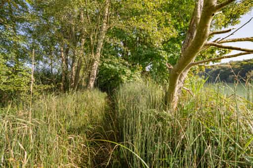 Wander-Pfad, Natur, Innspitz, Haiming, Altötting, Oberbayern