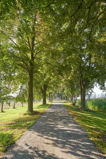 Pilgerweg Wallner a.d. Osterwies, Kastl, Altötting