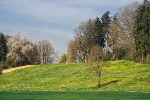 Landschaft Mettenheim, Mühldorf Inn, Oberbayern, Inn-Salzach