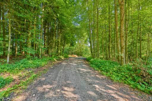 Hampersberg Forststraße, Erharting, Mühldorf, Oberbayern