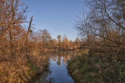 Waldsee Lago Herbst, PAN, Niederbayern, Bäderdrieck