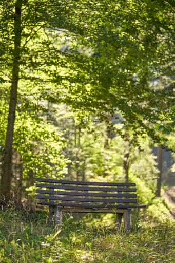 Bank am Steinbruch, St.-Rupert-Pilgerweg Berger a. Brunn