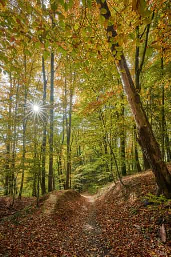 Weg zur Aussicht, Leonberg, Altötting, Oberbayern
