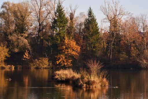 Waldsee Lago Herbst, Kirchdorf am Inn, PAN, Niederbayern