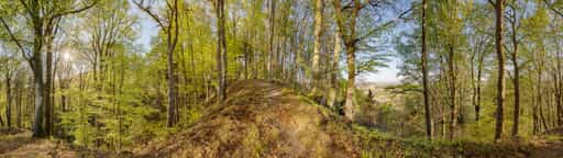 Aussicht Waldpanorama 360°, Perach, Altötting, Oberbayern