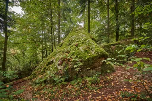 Waldwunderwelt Teufelsstein, Bad Griesbach, Passau