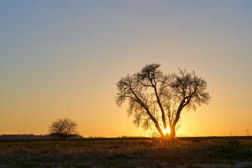 Sonnenuntergang Weiher, Polling, Mühldorf a. Inn, Oberbayern