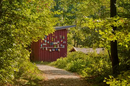 Waldkindergarten Herbst, Bad Griesbach, Passau