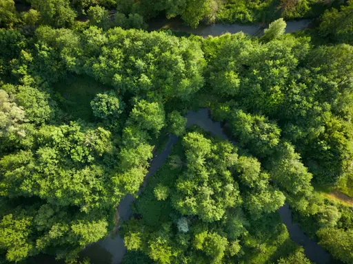 Wasserlandschaft Wolfach Flutkanal, Ortenburg, Passau