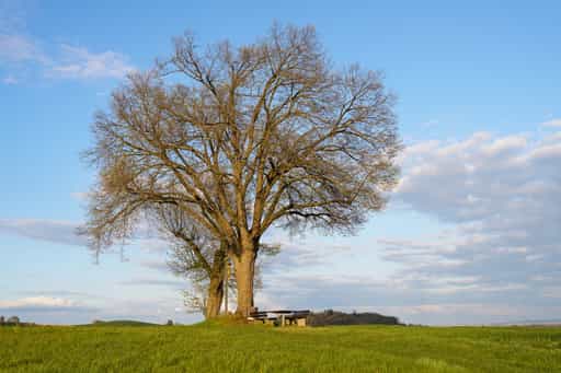 Feldkreuz, Bad Griesbach, Passau, Niederbayern, Bäderdreieck
