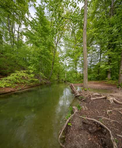 Alz Mühlbach in Garching, Landkreis Altötting, Oberbayern