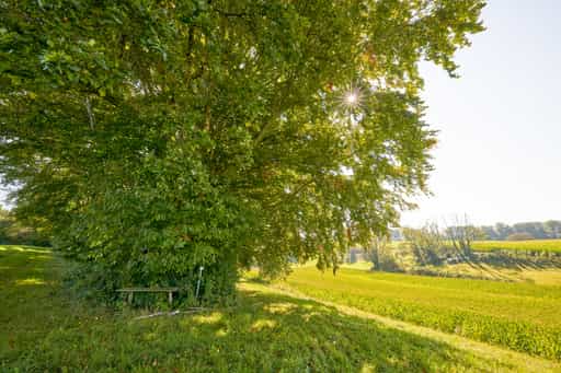 St.-Rupert-Pilgerweg bei Weindlgrub, Kastl, Altötting
