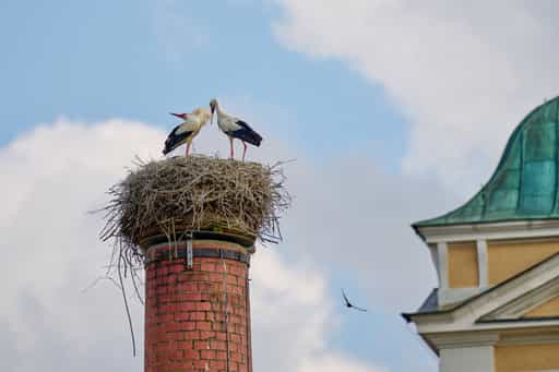 Rott im Herbst, Bad Birnbach, Niederbayern, Bäderdreieck