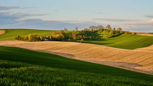 Karpfham Hügellandschaft am Feldkreuz, Passau, Niederbayern