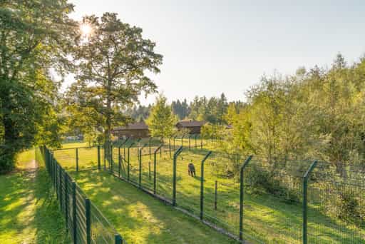 Gnadenhof für Bären, Aigen am Inn, Passau, Niederbayern