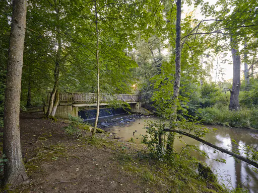 Brücke im Lichtlberger Wald, Gern, Eggenfelden, Niederbayern