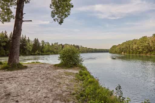 Innspitz Innkanal Inn, Töging, Altötting, Inn-Salzach