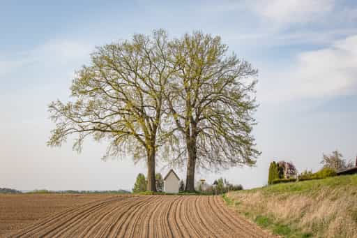 Bildstock Hirten Margarethenberg, Oberbayern, Inn-Salzach