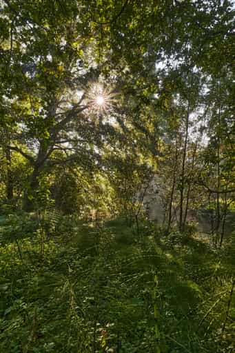Steinhöring Isen Landschaft, Winhöring, Altötting