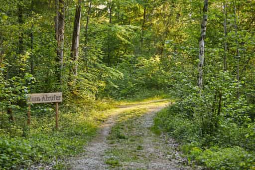 Walderlebnispfad Alz Au, Klosterau, Altötting, Oberbayern