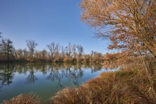 Waldsee Lago Herbst, PAN, Niederbayern, Bäderdreieck