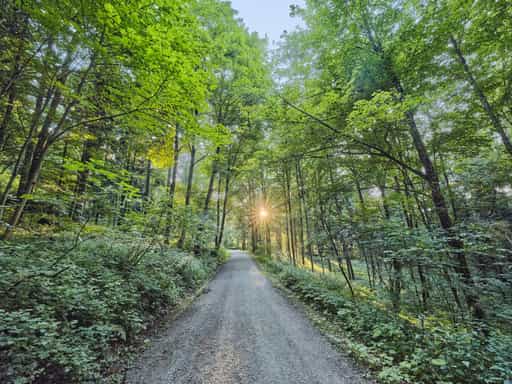 Waldwunderwelt, Wanderweg, Bad Griesbach, Passau
