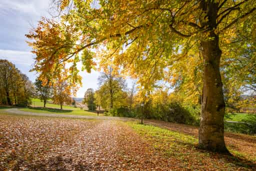 Herbst im Kurpark, Bad Griesbach, Niederbayern, Bäderdreieck