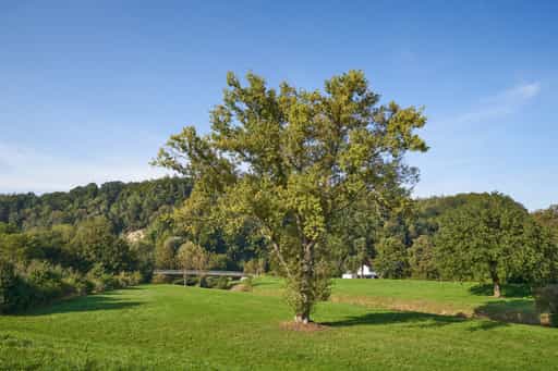 Isen Landschaftsbild, Steinhöring, Altötting, Oberbayern