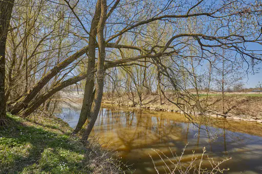 Rott, Ufer, Bäume in Unterdietfurt, Rottal-Inn, Niederbayern