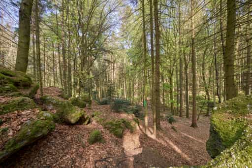 St. Salvator Luisenburg, Bad Griesbach, Passau