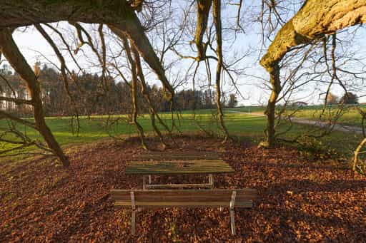 Linde Herbst, Kriering, Rottal-Inn, Niederbayern, Holzland