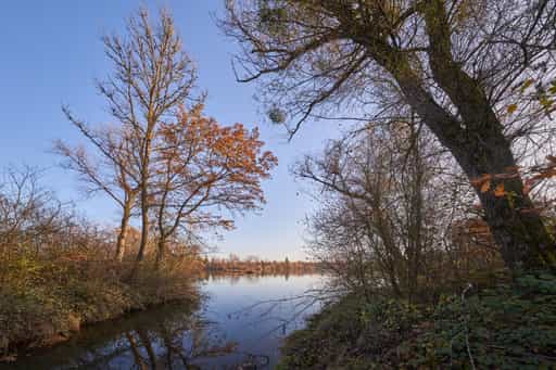 Waldsee Lago Herbst, Kirchdorf, PAN, Niederbayern, Holzland
