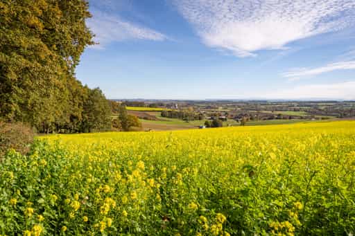 Kurpark im Herbst, Bad Griesbach, Passau, Niederbayern