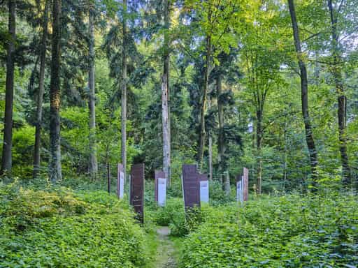 Waldwunderwelt, Baumerklärungen, Bad Griesbach, Passau