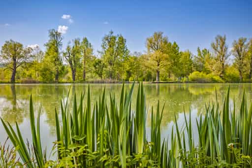 Radweg rechte Seite Inn, höhe Perach, Neuötting, Altötting