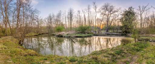 Lichtlberger Wald, Geratskirchener Bach, Gern, Rottal-Inn