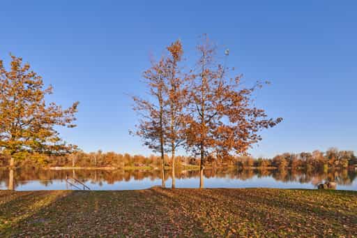Herbst am Waldsee Lago, PAN, Niederbayern, Bäderdrieck
