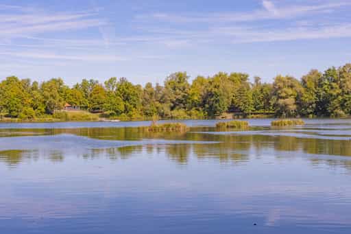 Badesee Kirchdorf, Waldsee Sommer, Rottal-Inn, Niederbayern