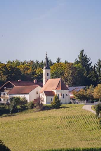 Aussicht auf Guteneck, Schwaigeröd, Rottal-Inn, Niederbayern
