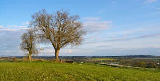 Feldkreuz Karpfham, Bad Griesbach, Passau, Niederbayern