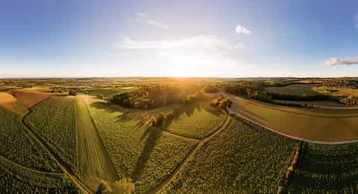Luftbild Bad Griesbach, Sonnenblumen, Passau, Niederbayern