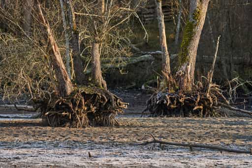 Lichtlberger Wald See trocken, Gern, Eggenfelden Rottal-Inn