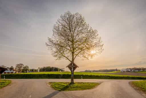 Wegkreuz Ecking, Reischach, Landkreis Altötting, Oberbayern