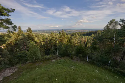 Aussicht Schwammerl, am Schellenberg, Simbach, Rottal-Inn