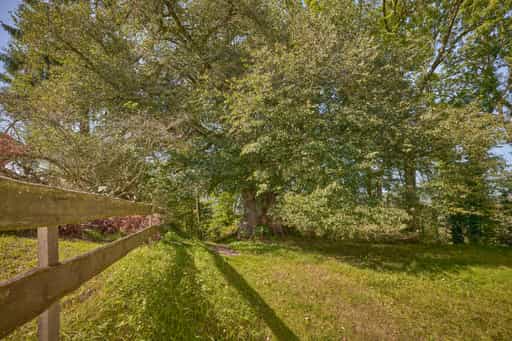 Alte Linde Naturdenkmal, Kraiburg, Mühldorf am Inn