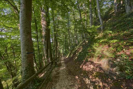 St.-Rupert-Pilgerweg, Margarethenberg, Oberbayern
