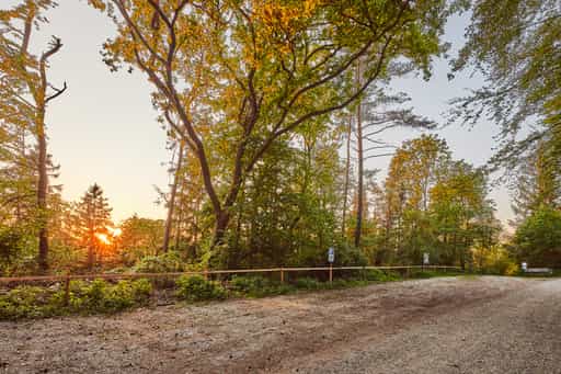 Klosterau Walderlebnispfad Alz Au, Mehring, Altötting