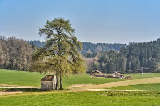 Kainrading, Mettenheim, Mühldorf am Inn, Oberbayern