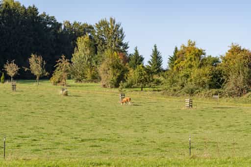 Landschaft bei Lengham, Lapperding, Rottal-Inn, Niederbayern